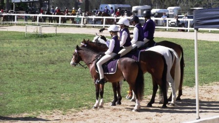 bellingen pony club