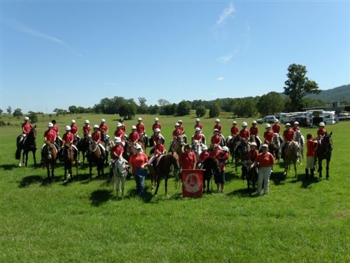 Coffs Harbour Pony Club