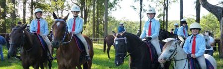 Hastings District Pony Club
