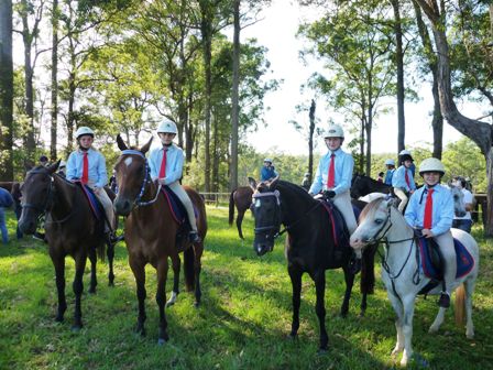 Hastings District Pony Club