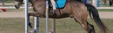 Wilson River Pony Club