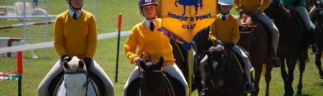 North Dorrigo Pony Club