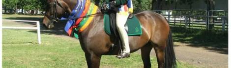 Zone 9 Show Riding 2006