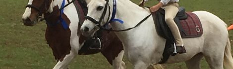 Glenreagh Pony Club